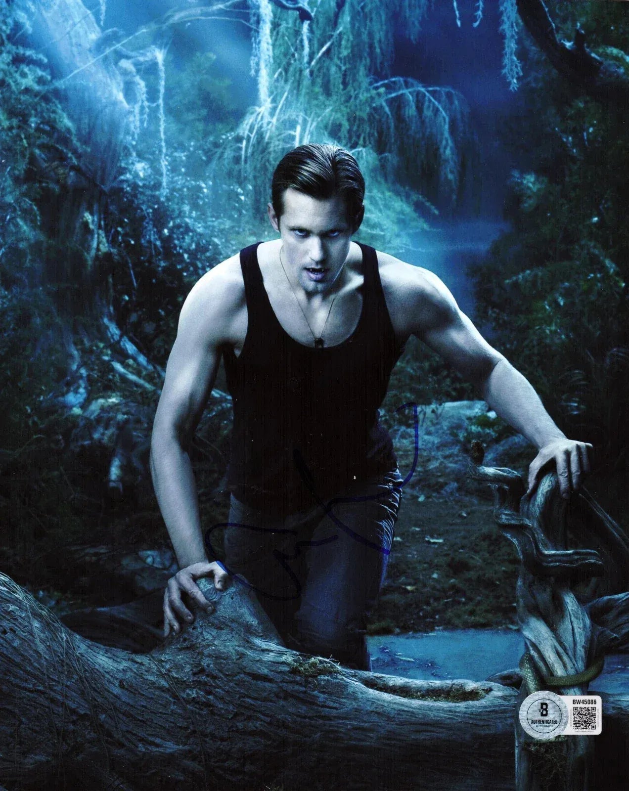 Alexander Skarsgard signed True Blood 8x10 photo — Beckett authenticated