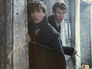 Eddie Redmayne Signed 11x14 Photo from Fantastic Beasts Beckett COA - Item #9