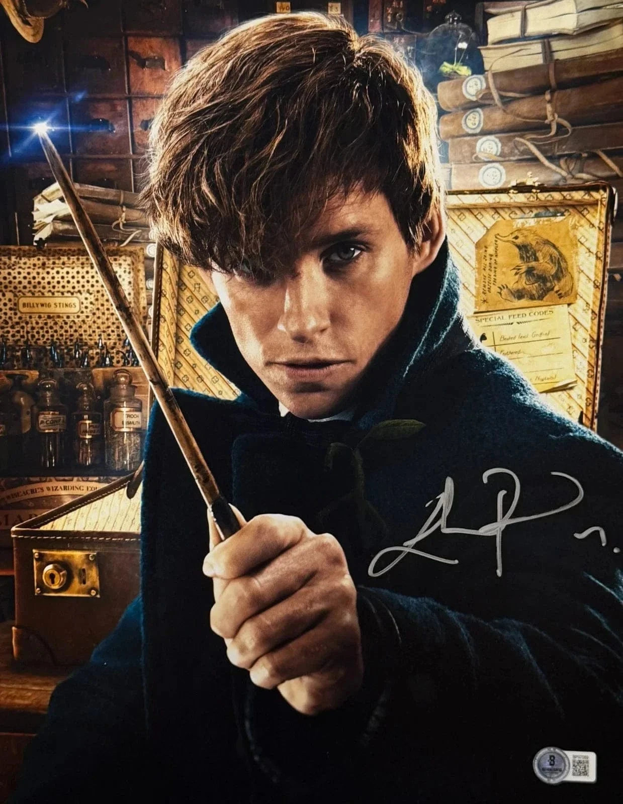 Eddie Redmayne Signed 11x14 Photo from Fantastic Beasts Beckett COA - Item #7