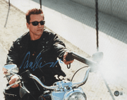 Arnold Schwarzenegger Signed 11x14 Photo from Terminator Beckett COA - Item #2