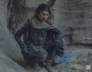Zendaya Signed 11x14 Photo from Dune Beckett COA - Item #1