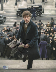 Eddie Redmayne Authentic Autographed 11x14 Photo