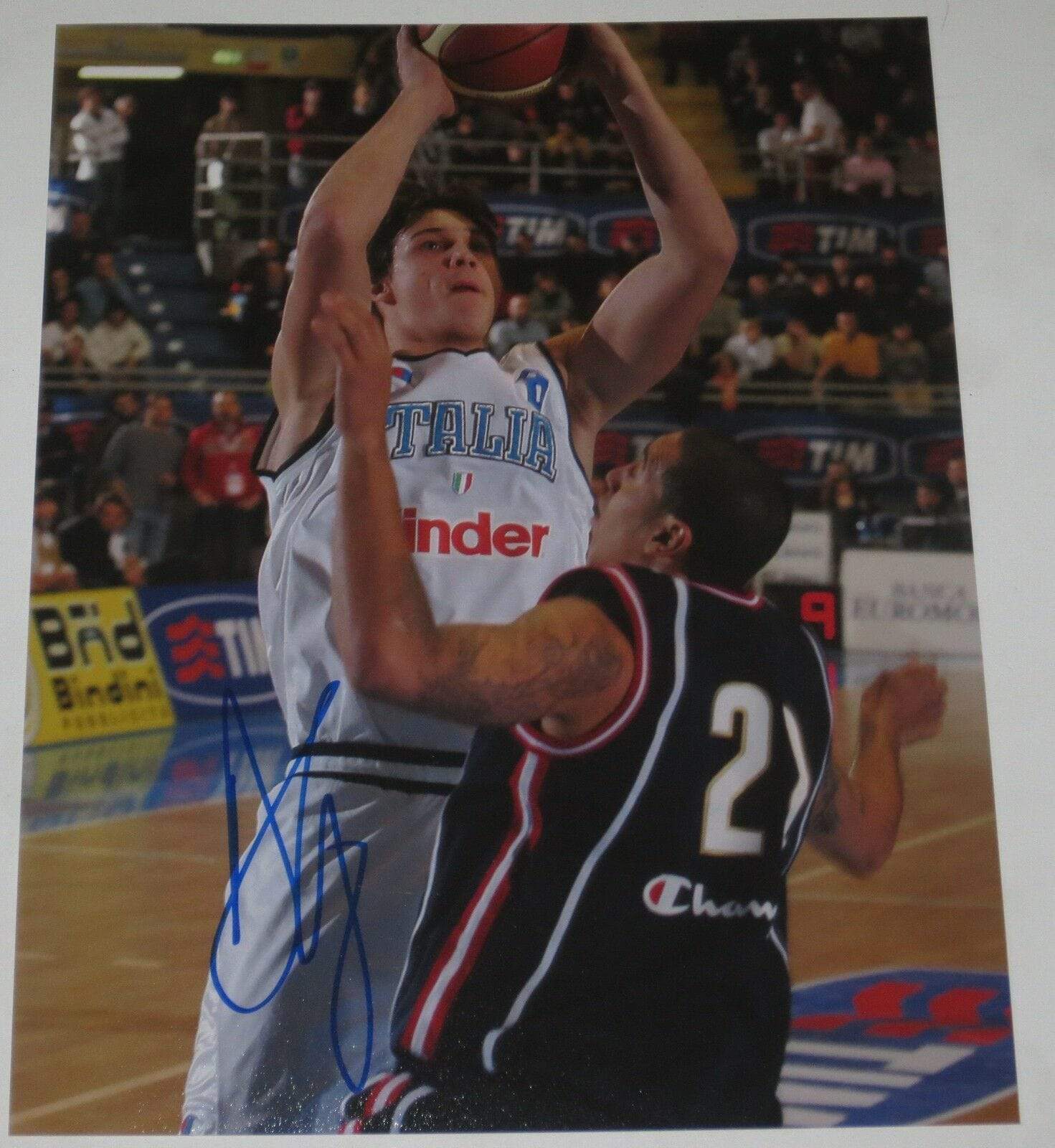 Danilo Gallinari Authentic Autographed 8x10 Photo - Prime Time Signatures - Sports