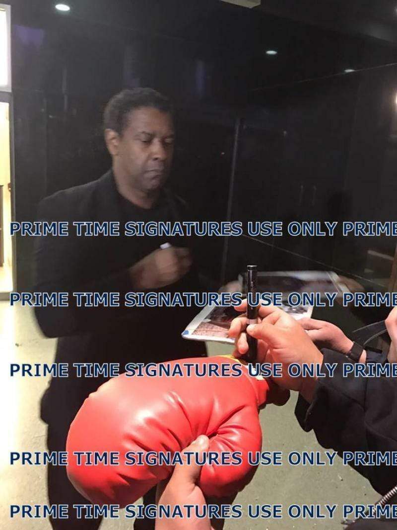 Denzel Washington Authentic Autographed 14 Oz. Boxing Glove - Prime Time Signatures - TV & Film