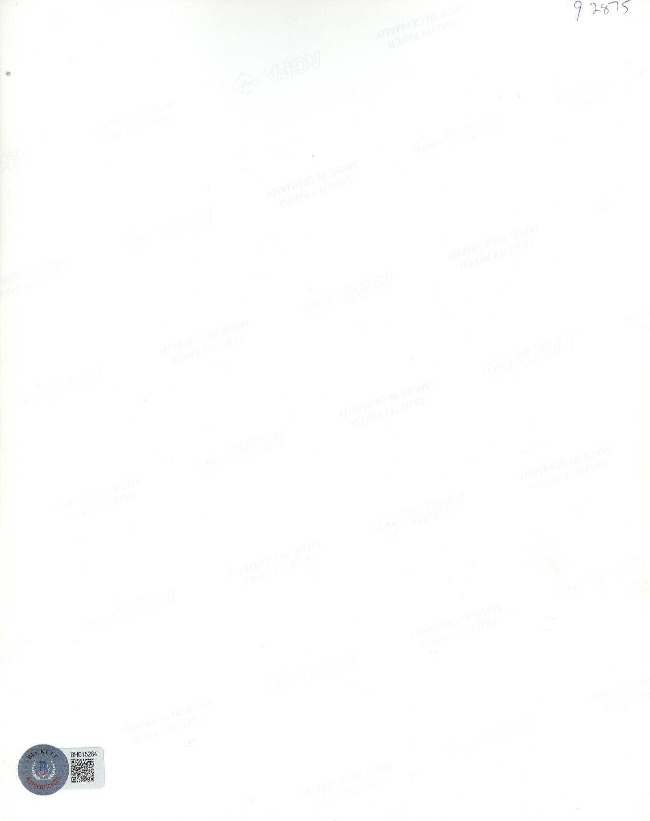 Dolph Lundgren Signed 8x10 Photo from Rocky Beckett COA - Item #2 - Detail View