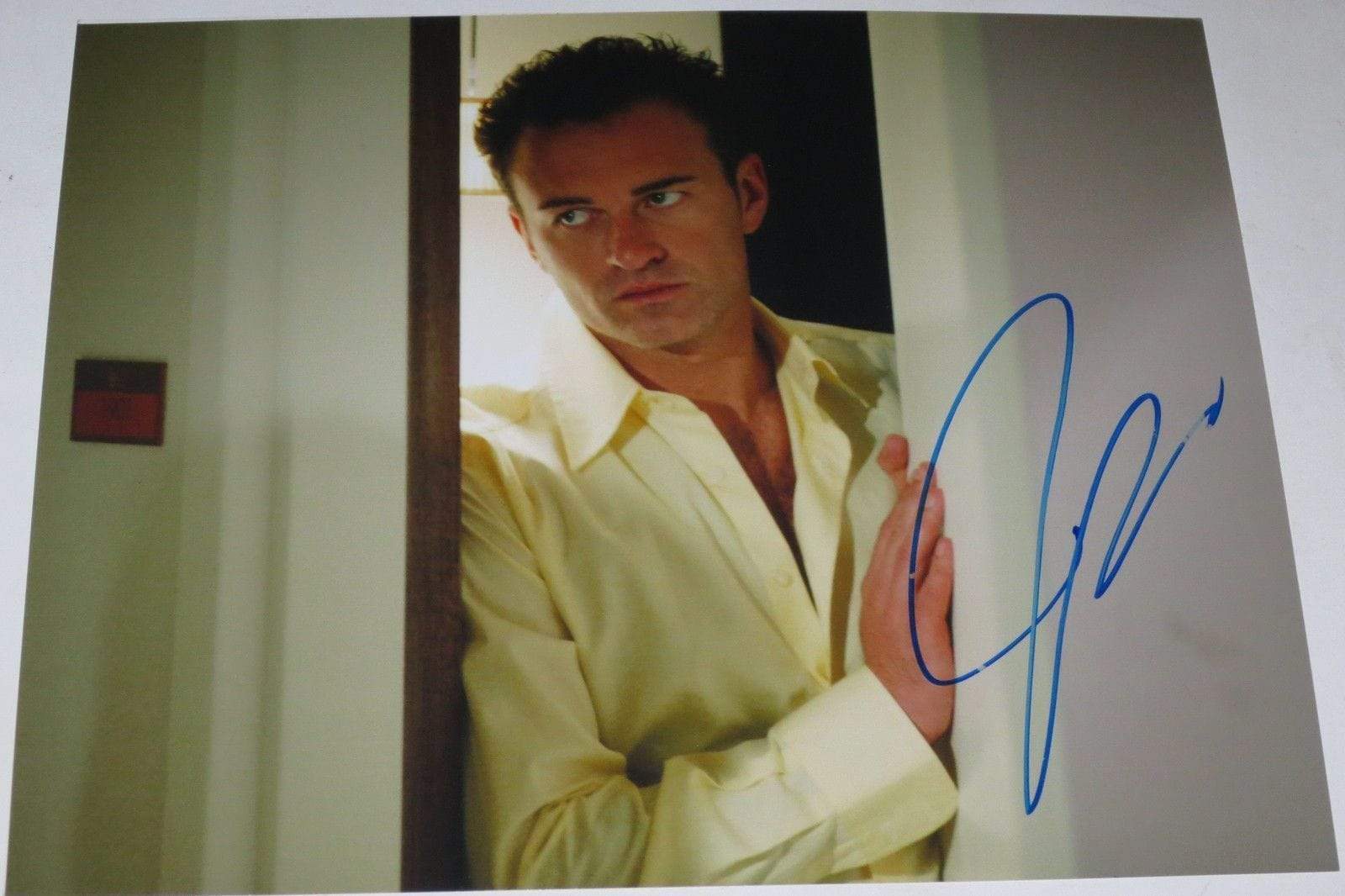 Julian McMahon Authentic Autographed 8x10 Photo - Prime Time Signatures - TV & Film