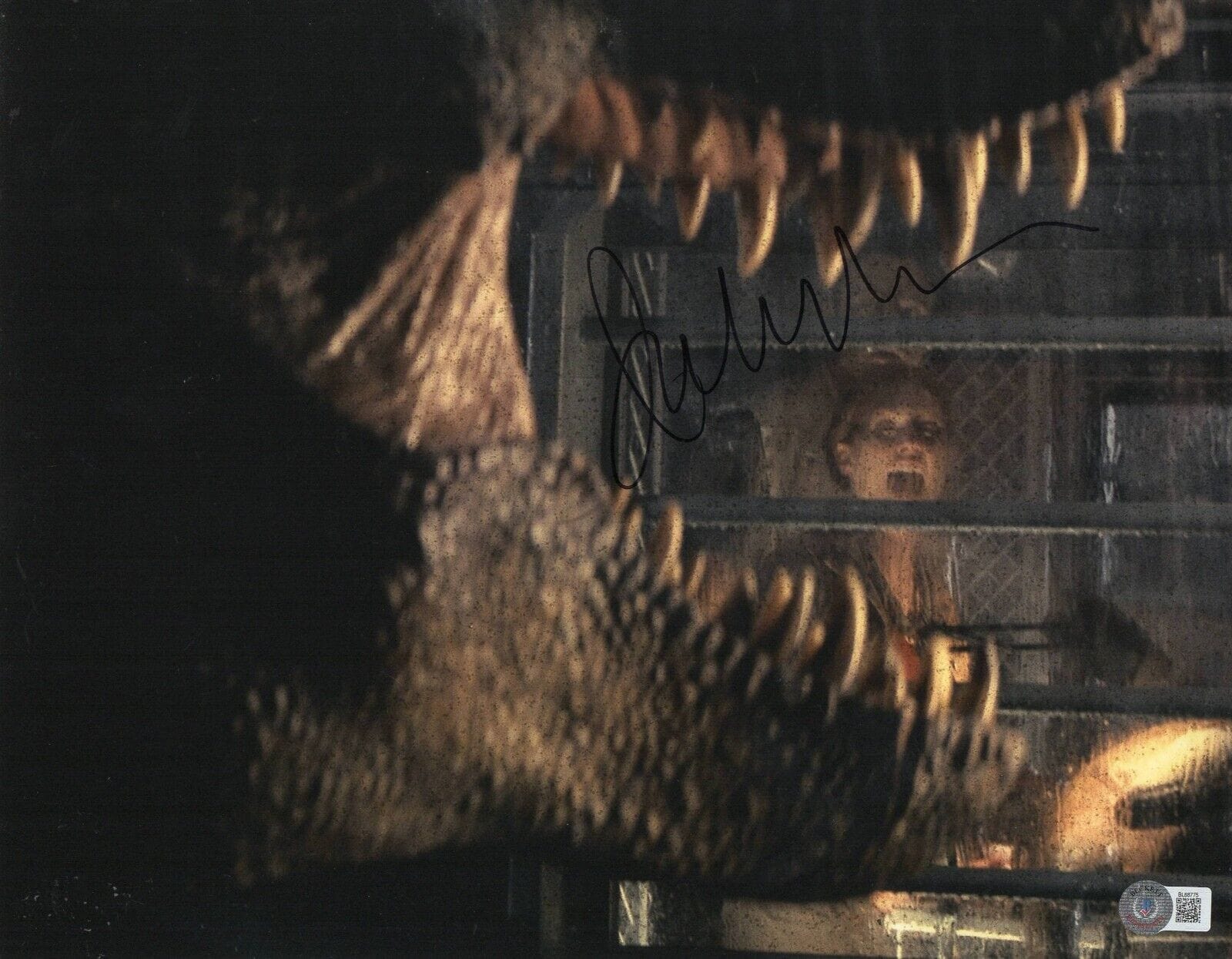 Julianne Moore Signed 11x14 Photo from Jurassic Park Beckett COA - Item #1