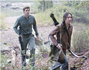 Liam Hemsworth Signed 8x10 Photo from The Hunger Games Certified Authentic - Item #2